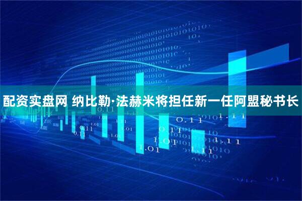 配资实盘网 纳比勒·法赫米将担任新一任阿盟秘书长