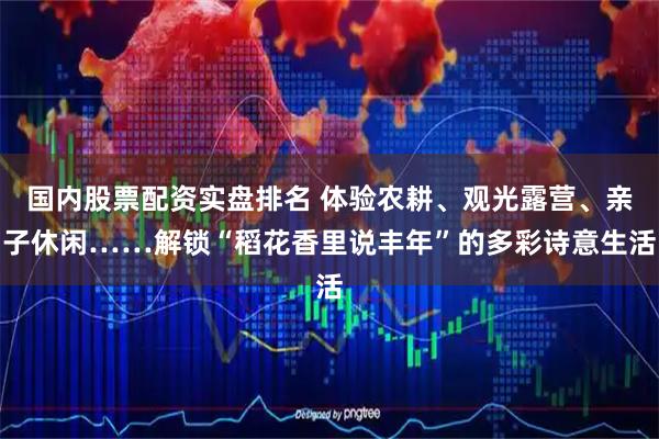 国内股票配资实盘排名 体验农耕、观光露营、亲子休闲……解锁“稻花香里说丰年”的多彩诗意生活